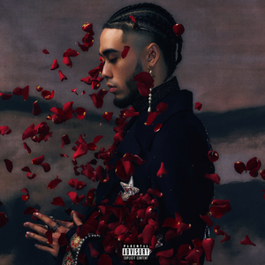 特级大黄AAAAAA片同性恋
