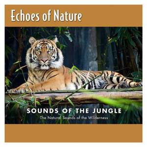 特级大黄AAAAAA片同性恋
